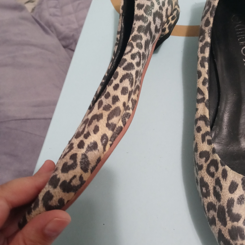 Cheetah Flats - Picture 4 of 5